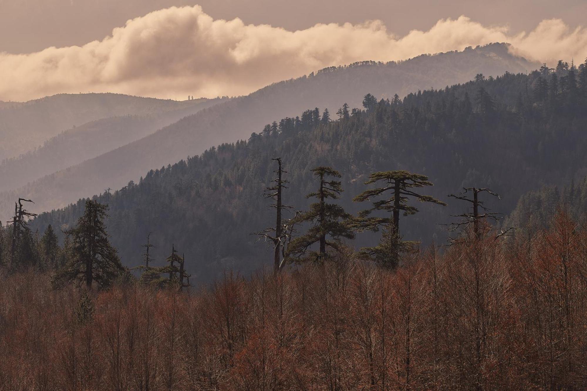 Grand Forest - Leading Of The World Отель Мецовон